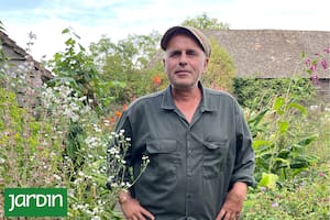 Es considerado el "Messi" de la jardinería y hoy está al frente de uno de los jardines más famosos de Inglaterra