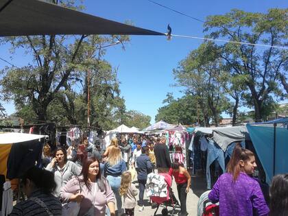 Feria Oro verde en Virrey del Pino