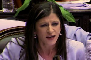 Reclaman echar a Fernanda Vallejos de la Cámara de Diputados