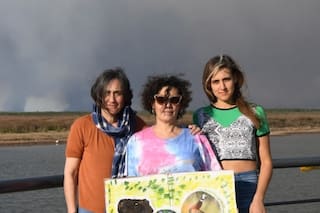 Lluvia de cenizas, accidentes de auto, problemas respiratorios y ojos irritados: el drama en primera persona