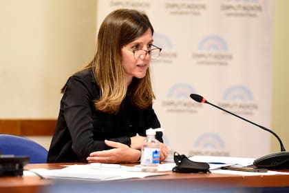 La directora de la Anses, Fernanda Raverta, expuso el año pasado ante una comisión mixta los lineamientos del proyecto oficial de movilidad, luego convertido en ley