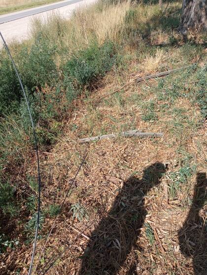 Fernández: "No tengo a nadie en particular a quien señalar"