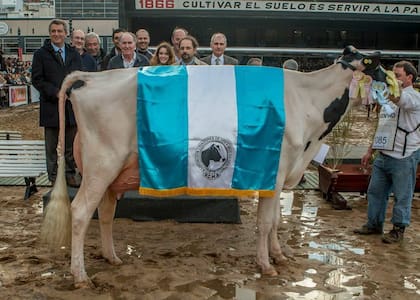 Fernando Martínez, segundo en la primera fila desde la izquierda, era hijo del dueño de Don Satur y propietario de la cabaña La Sorianita II; en la foto al ganar el Gran Campeón Hembra Holando Argentino en la Exposición Rural de Palermo