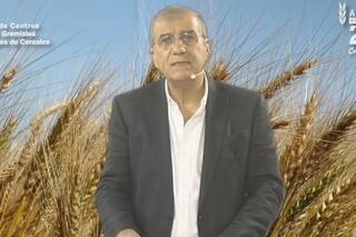 Precios: piden liberar el “férreo control” a la harina de trigo