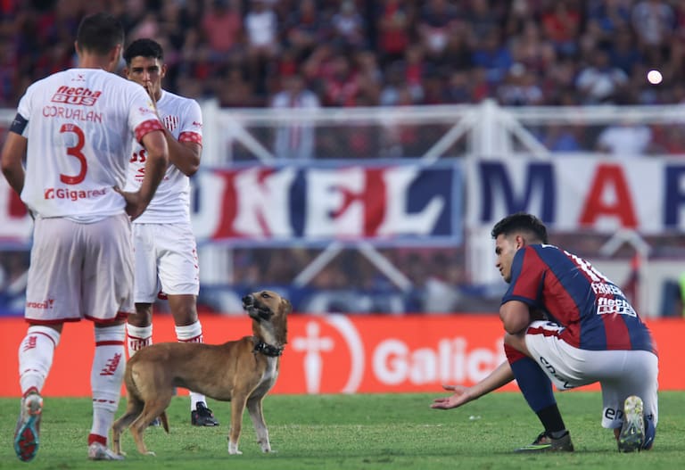 Copa de la Liga: San Lorenzo y Unión, un 0-0 aburrido en el que los únicos “ole” se los llevó un perro que eludió a todos