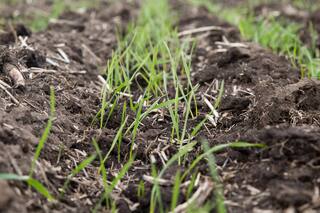 Una oportunidad para cambiar la historia agrícola