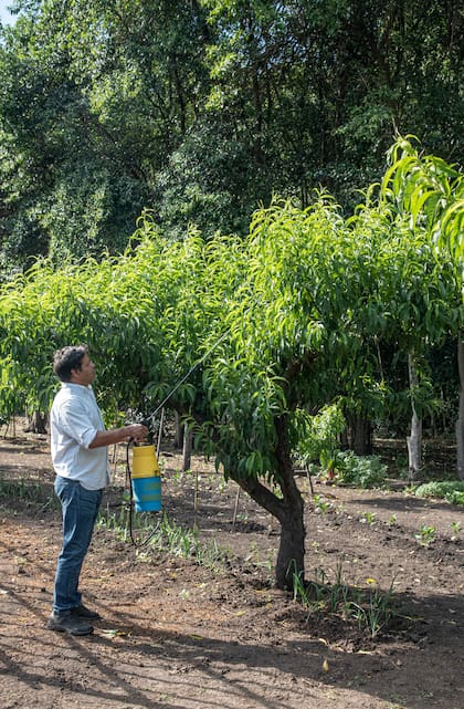 Fertilización y control de plagas, dos tareas que requieren especial atención en primavera