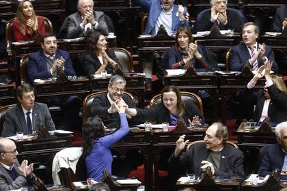 Festejos en el bloque kirchnerista tras la ratificación en la Cámara de Diputados de la ley de emergencia en discapacidad