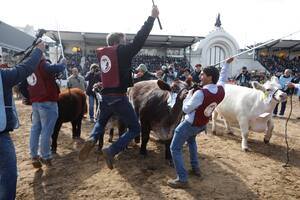 La Rural de Palermo, un reflejo del país que quiere ir hacia adelante