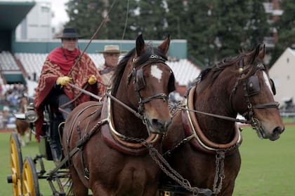 Festival Caballo Argentino: una multitud copó Palermo para homenajear al animal más deportivo