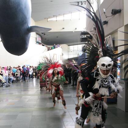 Festival Cultural Baja Splah en el Acuarium Of The Pacific (Instagram/@mariluscorner)