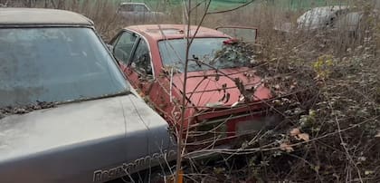Fiat Regata y Lancia Coupé