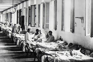 ¿En qué continente se originó la peste negra?