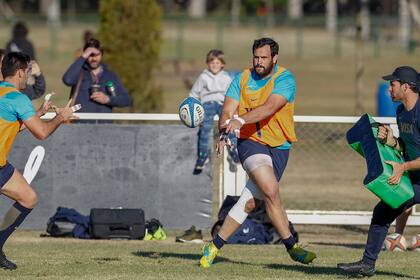 Juan Figallo, el pilar salteño que vuelve a los Pumas