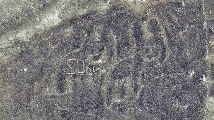 Figura de felinos descubierta gracias al uso de drones y tecnología satelital en 3-D.