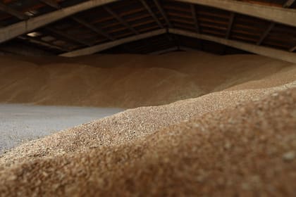 Se espera una producción extra de 61,2 millones de toneladas de granos