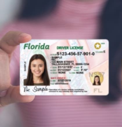 Fin de la autoverificación: licencias antiguas ya no sirven como prueba de residencia; exigen 2 comprobantes actualizados