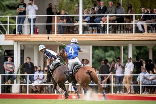 Qué es distinto esta vez en La Dolfina-Ellerstina, el clásico que definirá Tortugas por 12ª vez