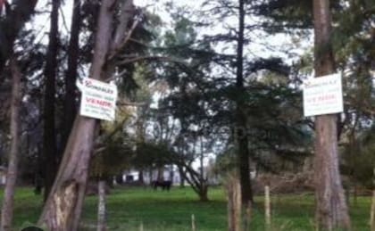 Finalmente, los dos lotes de la casa quinta se vendieron por separado