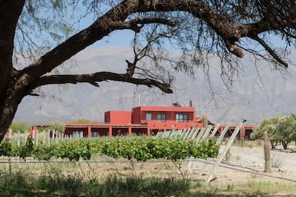 Finca Albarossa tiene once habitaciones y está junto a los viñedos.