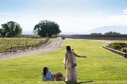 Finca Decero regala vistas bien abiertas e increíbles