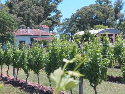 Finca Don Atilio, una verdadera experiencia rural en Uribelarrea