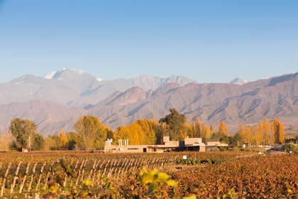Finca Victoria, en Mendoza, la bodega argentina mejor rankeada en World's Best Vineyards 2024