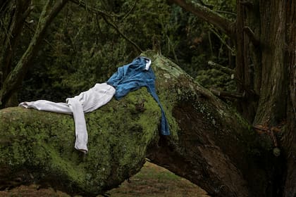 Las fotos de Agustín Estrada también fueron ponderadas en Londres; "Alma Pater" es el título de esta obra