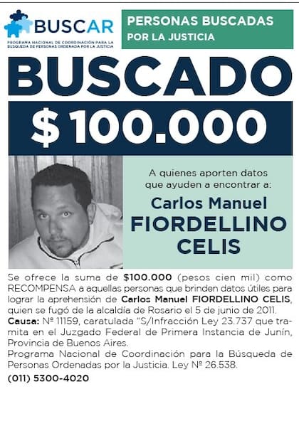 Fiordellino Celis
