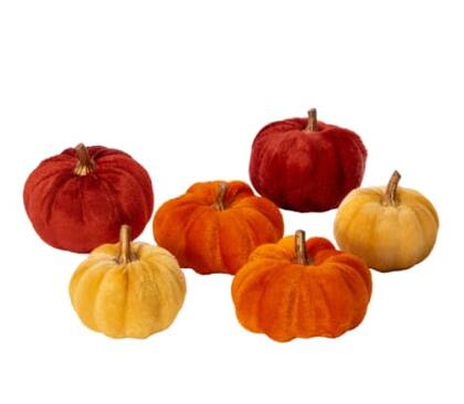 Five Below vende las seis mini calabazas por porción