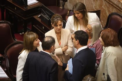 Flavia Royón, aliada al gobernador salteño Gustavo Sáenz, se abstuvo en la votación del pliego de Iglesias