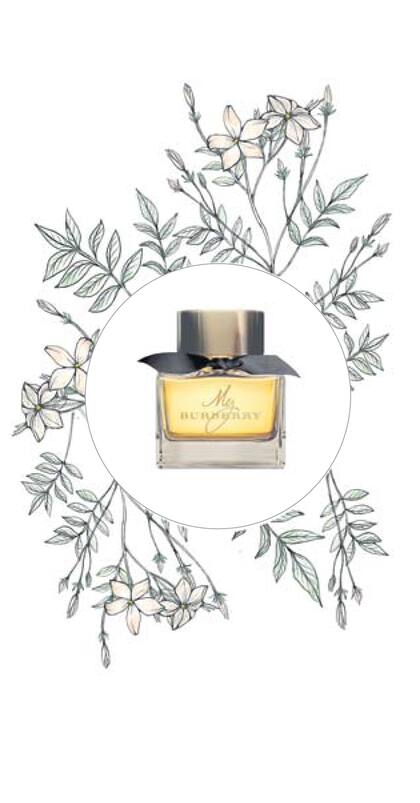Flor de jazmín, My Burberry Black