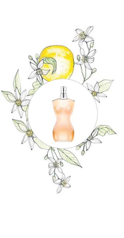 Flor de naranjo, Classique