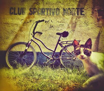 Escena cotidiana con un personaje gatuno