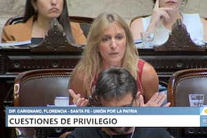 El momento en que la diputada Carignano desenchufa micrófonos para interrumpir la sesión