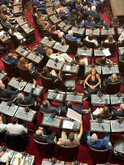 Florencia Carignano le da la espalda a Milei en señal de protesta