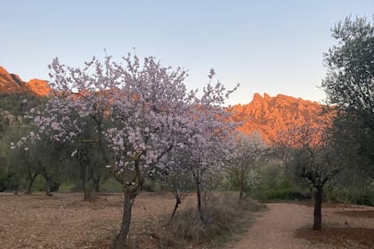 Florencia disfruta mucho de su entorno cotidiano en El Bruc, al pie de Montserrat.