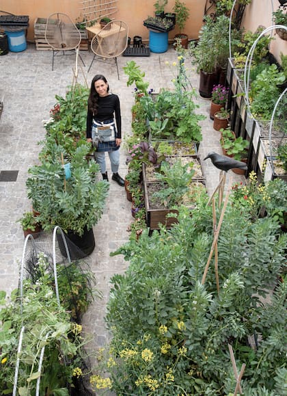 Florencia Gallino, fundadora de Sitopia Cultivo Urbano, comparte sus consejos para lograr una huerta eficiente en la ciudad