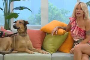 Florencia Peña junto a la bisnieta de Fatiga, la mascota de Moni Argento en Casados con hijos. Fuente: Telefe