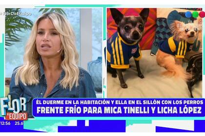 Florencia Peña se sinceró sobre Micaela Tinelli y su motivo para dormir en el living: "¿Para qué tanto perro?"