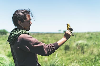 Florencia Pucheta lleva adelante el proyecto de conservación del Tordo Amarillo