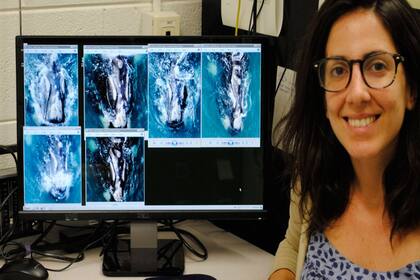 Florencia Vilches, del Instituto de Conservación de Ballenas se encarga de identificar las ballenas y hacerles un seguimiento a través de los años