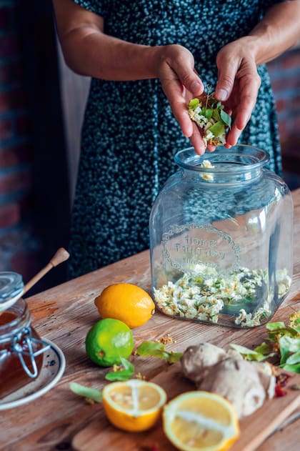 Flores, cítricos y jengibre: combinaciones simples que transforman una bebida cotidiana en un ritual de bienestar