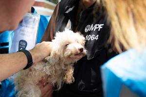 Flores: desbarataron un criadero ilegal