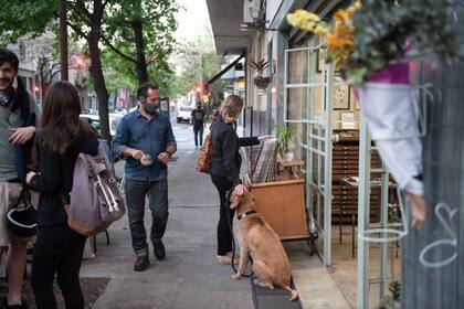Flores en las veredas y propuestas en las calles, una constante de la Av. Jorge Newbery