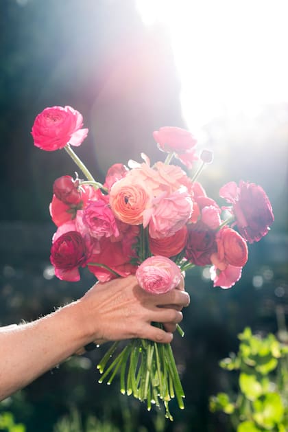 Flores recién cortadas de su propio jardín