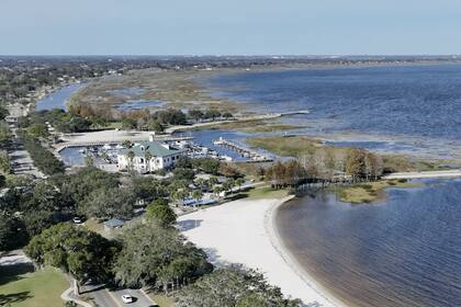 Florida espera seguir hallando animales prehistóricos