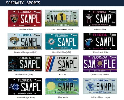 Florida tiene distintos diseños de placas especiales ya aprobados