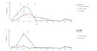 Fluctuación poblacional del pulgón A: híbrido analizado; B: Convencional. Las flechas superiores indican los momentos en que se realizaron las aplicaciones con insecticidas