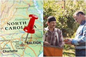 La visa que da el Uscis y habilita a permanecer 10 meses en EE.UU.